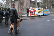 Göttingen, 17.1.2016: Bullen Hunde auch am Start
