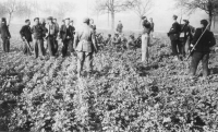Buchenwald, 11. April 1945: Die ehemaligen Häftlinge nehmen SS-Leute gefangen.