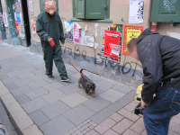 Gedoubelter Mantrailer-Dog in der Roten Straße