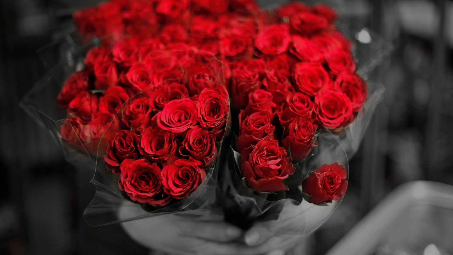 Rose rosse per te ho comperato stasera...