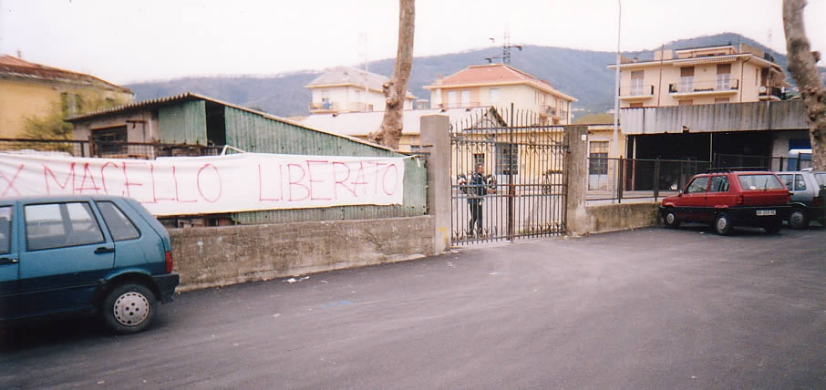ATTENTI AL VIGILE URBANO!