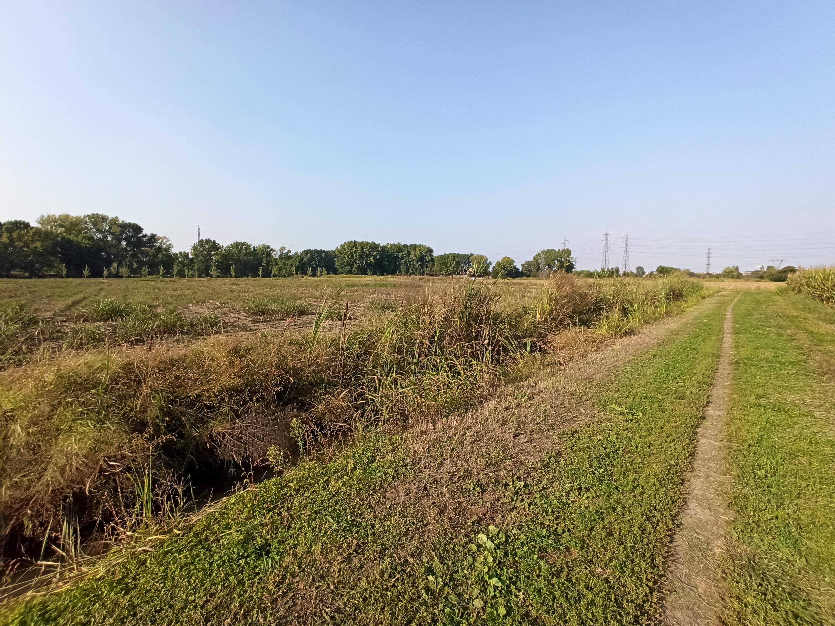 IMG_20200916_165353.jpg