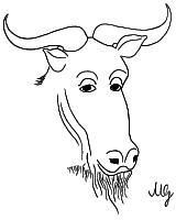  [Immagine di uno Gnu Filosofico] 